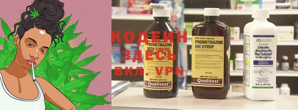 прущие грибы Армянск