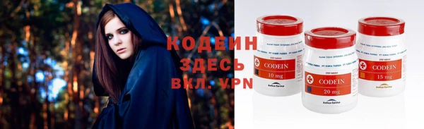 сатива Арсеньев