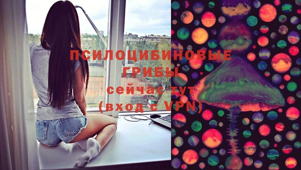 прущие грибы Армянск